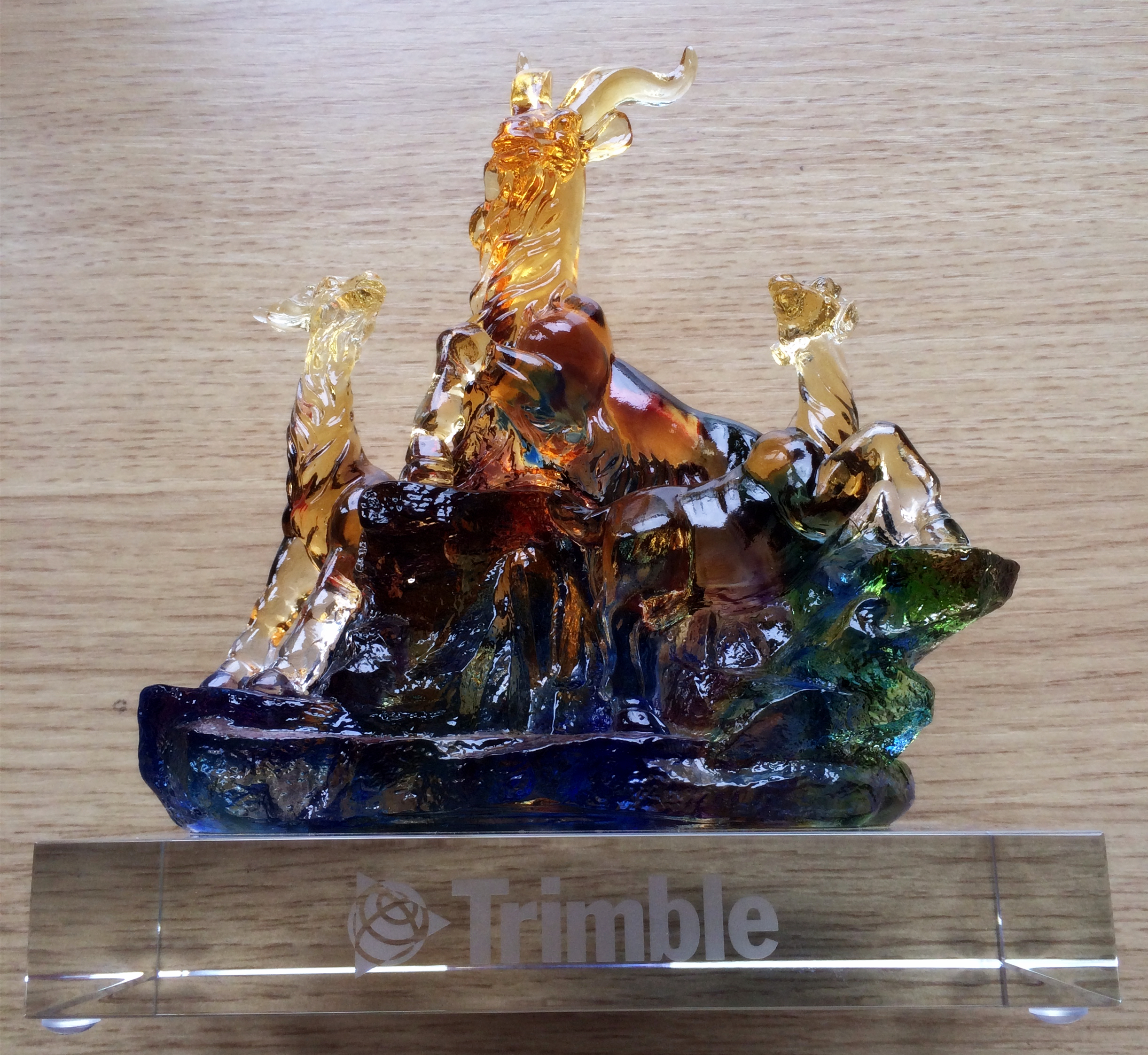 銓順宏參與Trimble2015新春年會(huì)