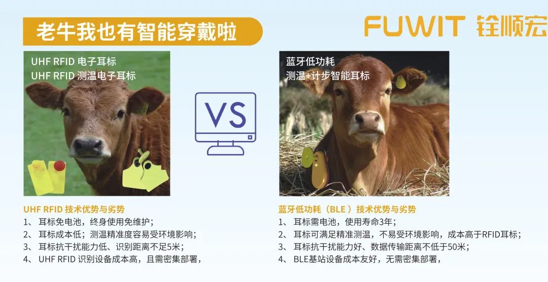 養(yǎng)殖業(yè)的新科技：牛羊豬也有智能穿戴設(shè)備啦