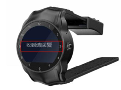 司法監(jiān)管定位手表（4G 全網(wǎng)通）