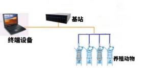  FU-BT13生物智能耳標(biāo)